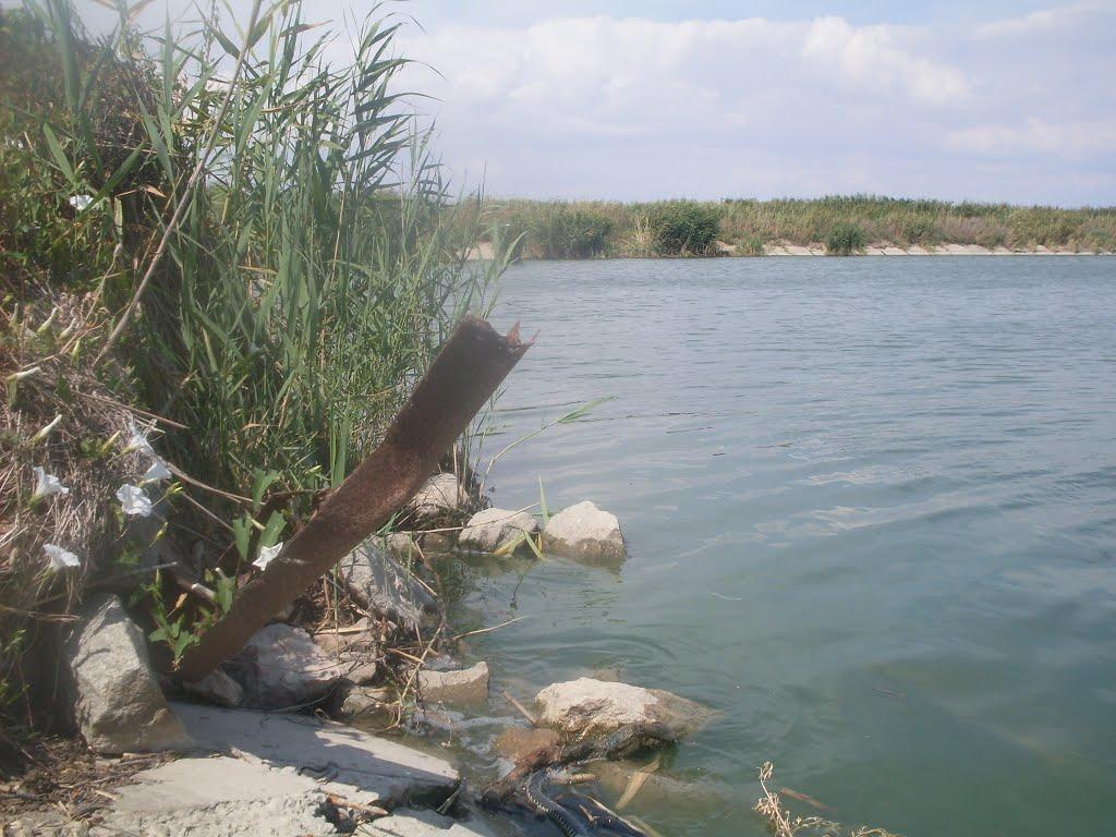 Рисове з panoramio.com - Рисовое