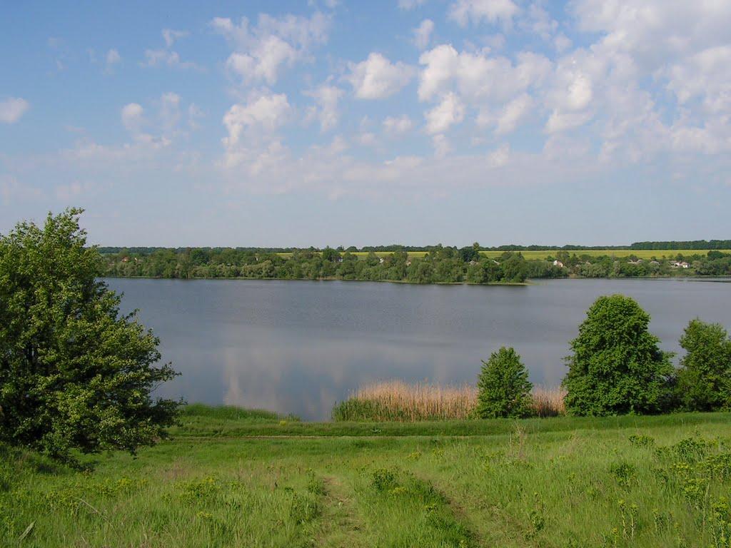 Сорокотяга з panoramio.com - Сорокотяга