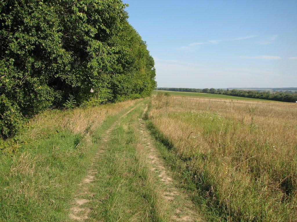 Червона Зірка з panoramio.com - Червона Зірка