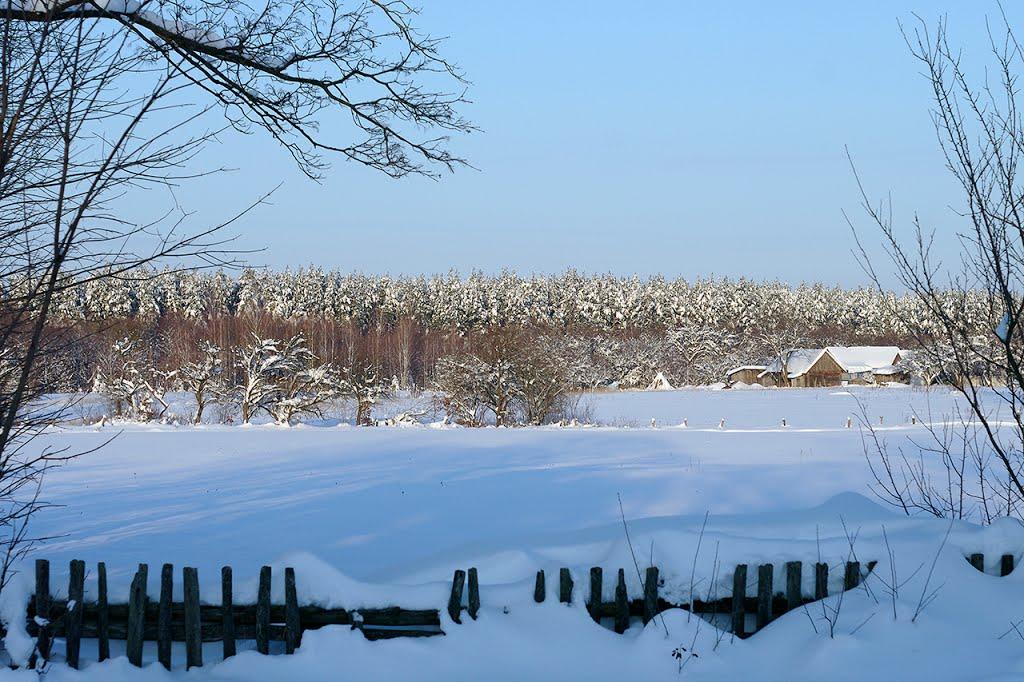 Полянка з panoramio.com - Полянка
