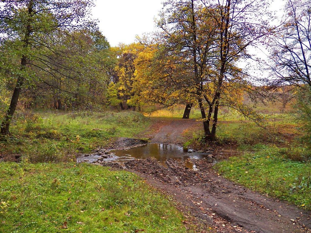 Олександрівське з panoramio.com - Олександрівське