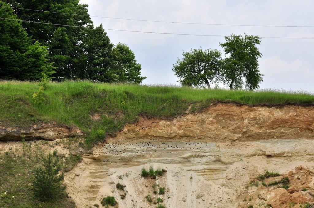 Лелехівка з panoramio.com - Lelekhivka