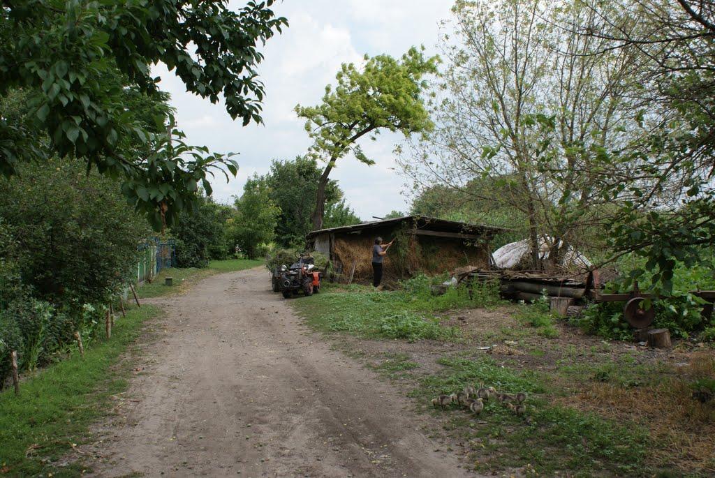 Чемерпіль з panoramio.com - Chemerpil