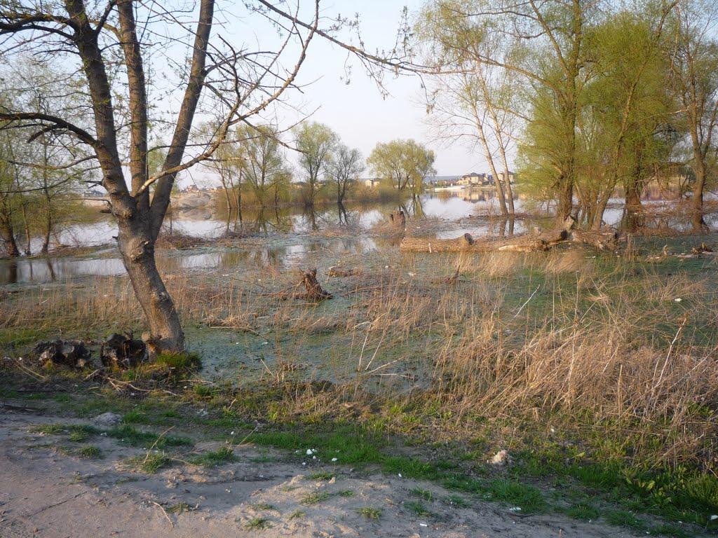 Вишеньки з panoramio.com - Вишенки