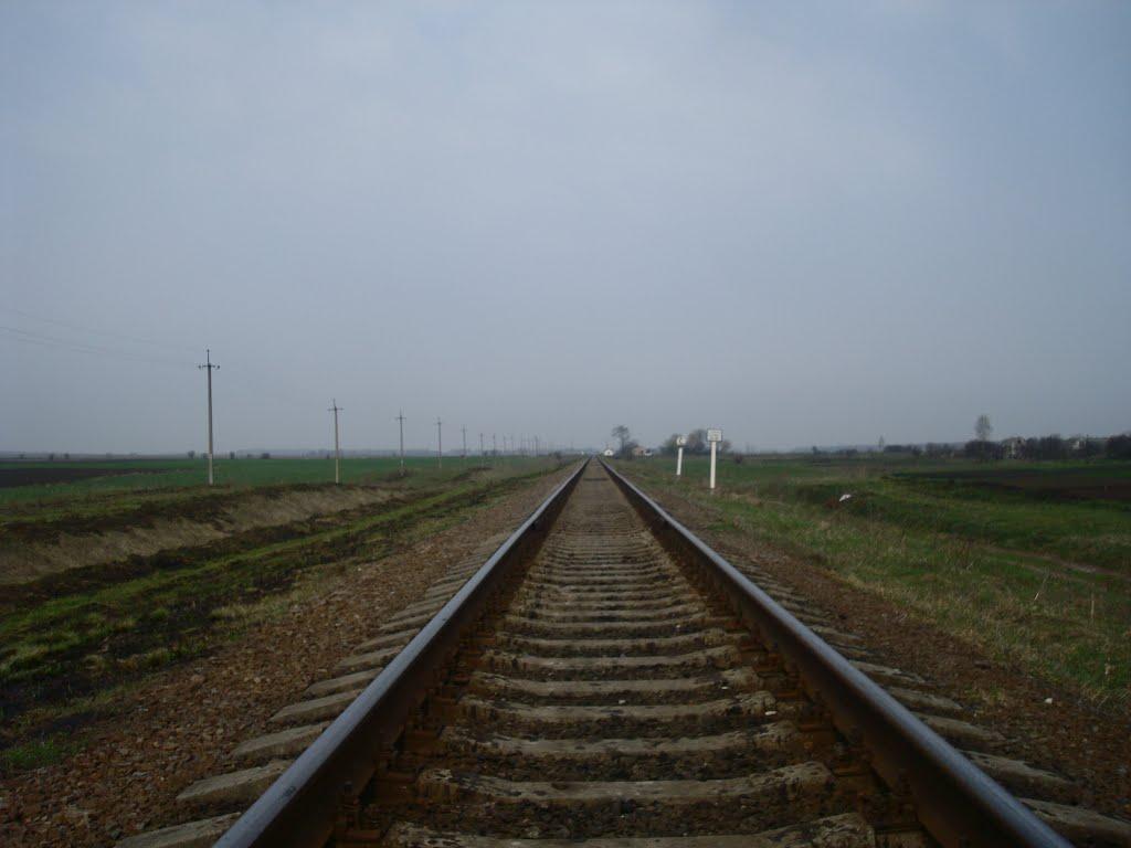 Великий Чернятин з panoramio.com - Великий Чернятин
