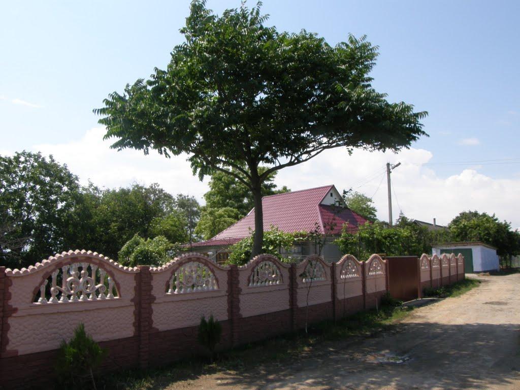 Маяки з panoramio.com - Маяки