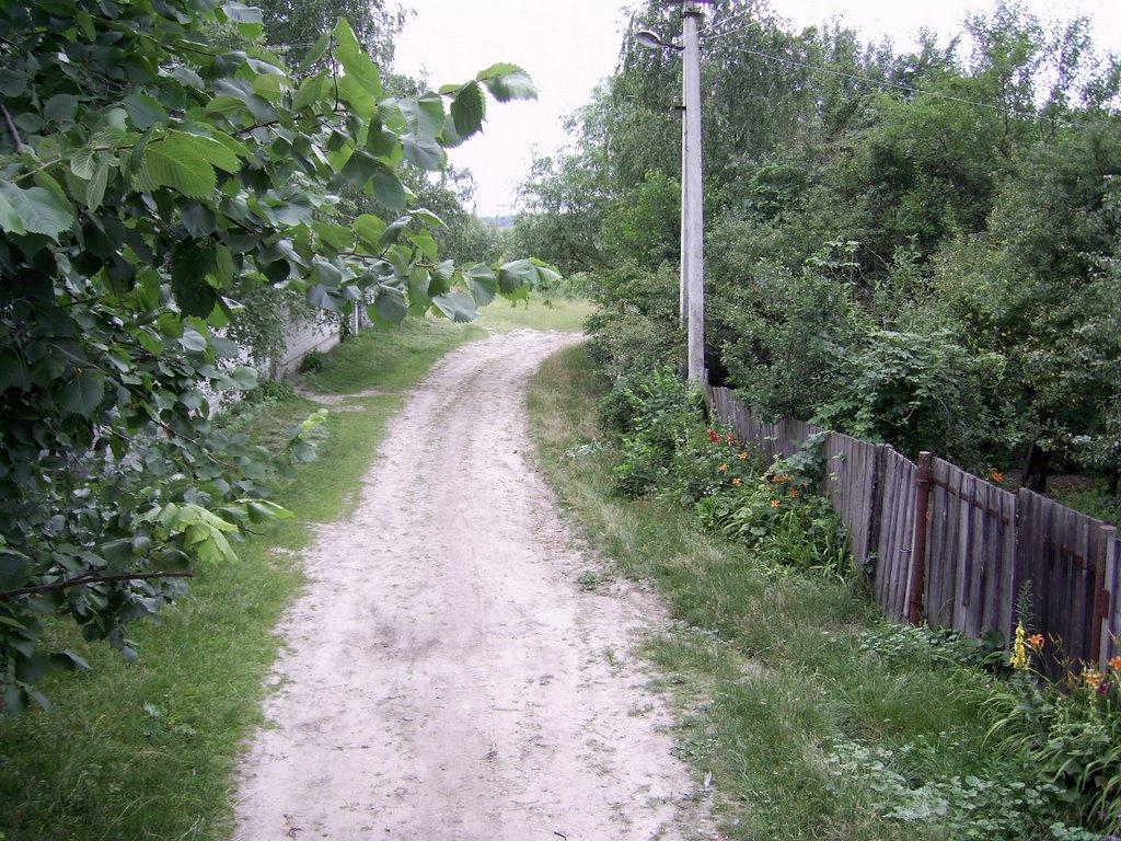 Сидорівка з panoramio.com - Сидорівка