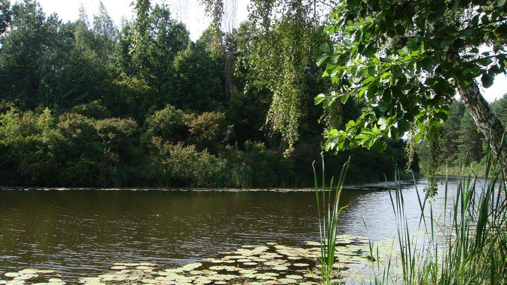 Свидівок з panoramio.com - Свидовок