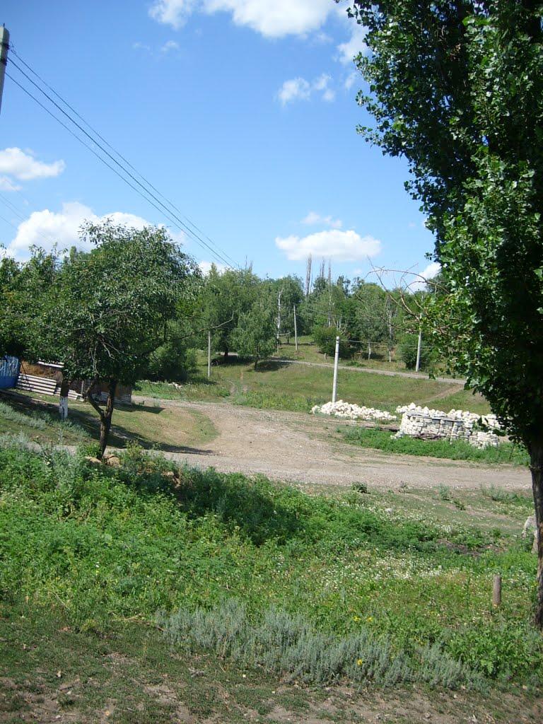 Федосіївка з panoramio.com - Федосіївка