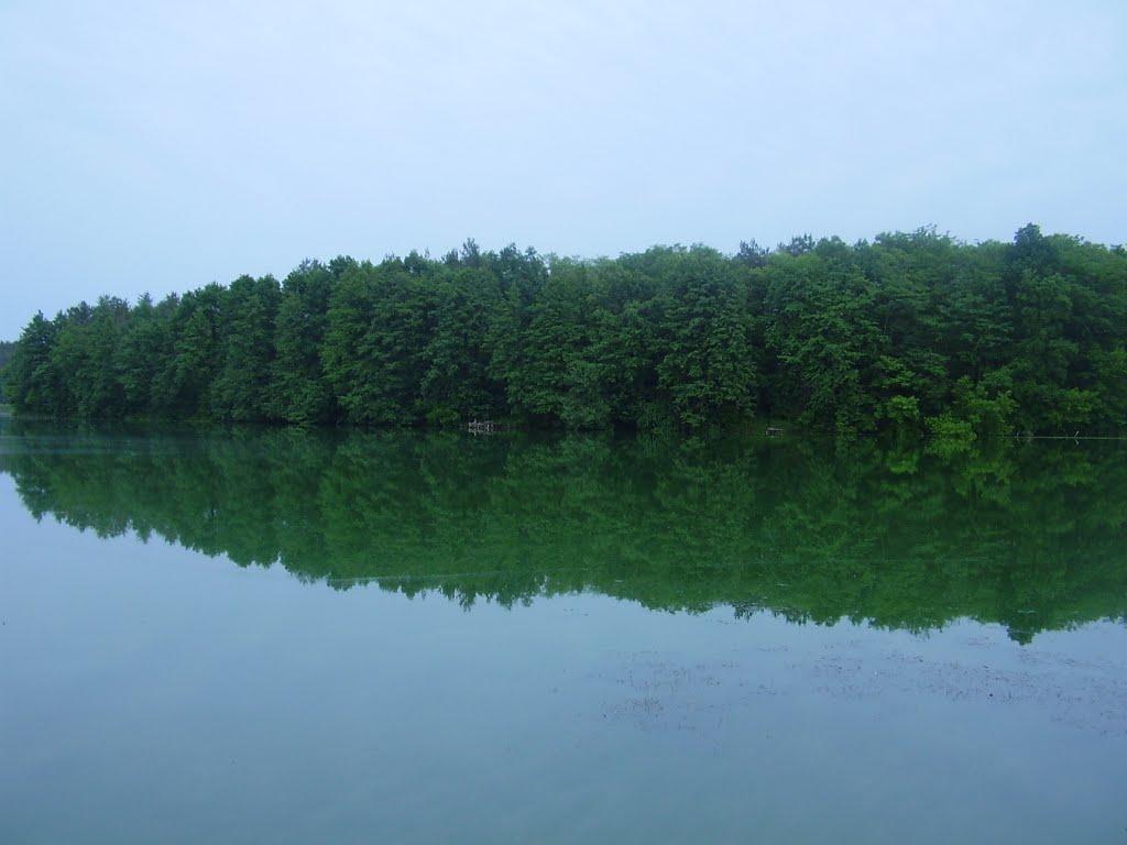 Неморож з panoramio.com - Неморож