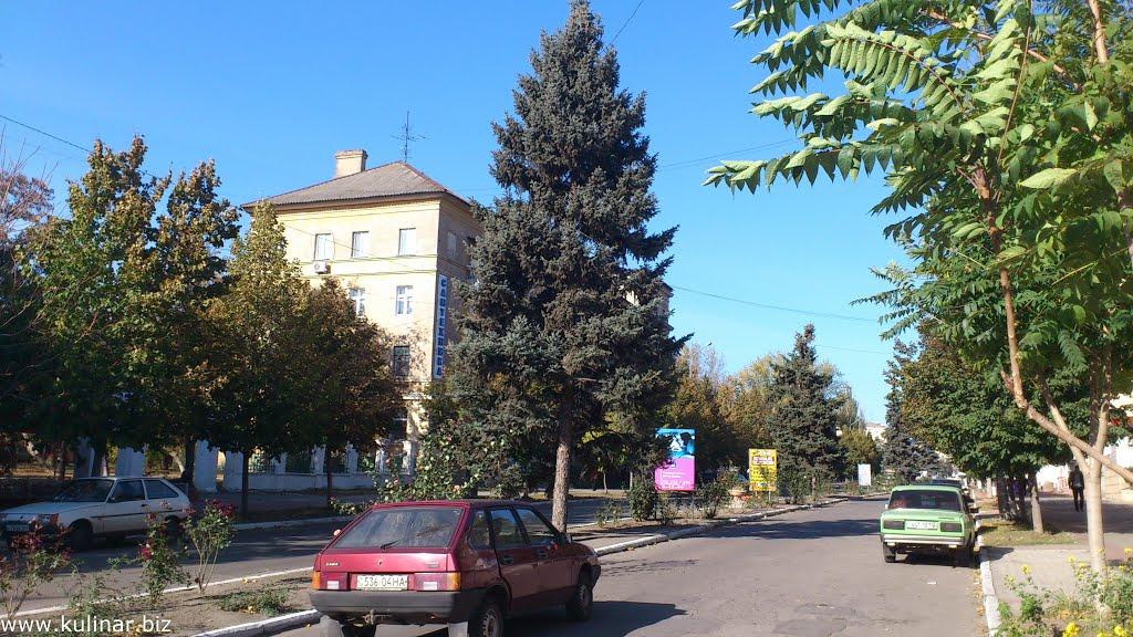 Токмак з panoramio.com - Токмак