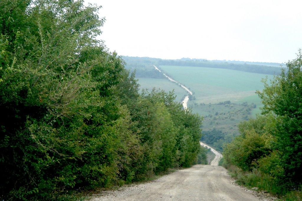 Кукули з panoramio.com - Кукули