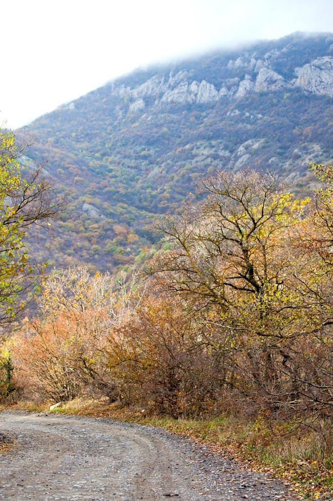 Зеленогір'я з panoramio.com - Зеленогір'я