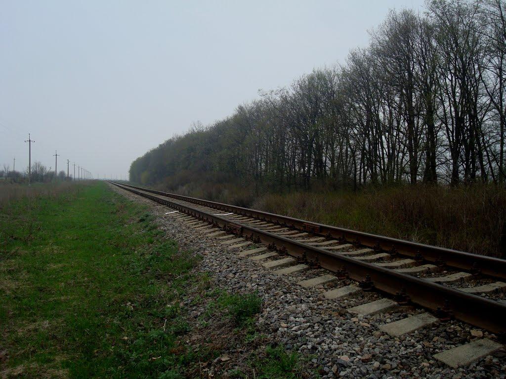 Грибенинка з panoramio.com - Грибенинка