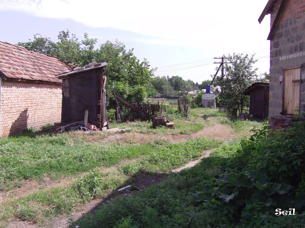 Покровське з panoramio.com - Покровське