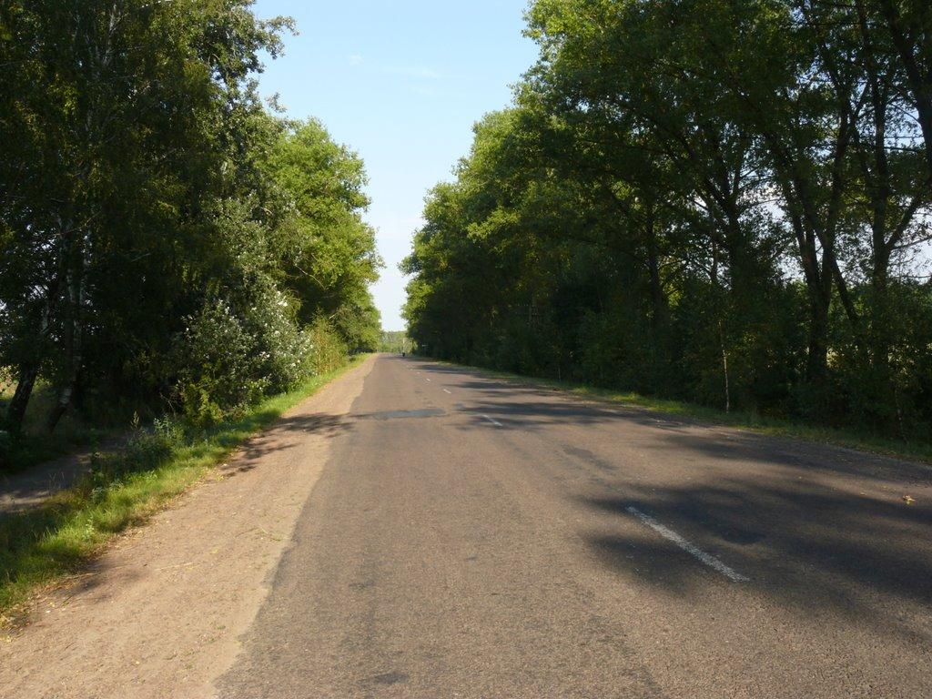 Крупчатка з panoramio.com - Крупчатка