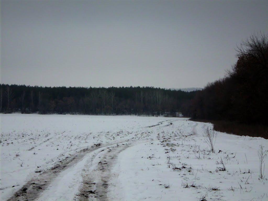Жовтневе з panoramio.com - Жовтневое