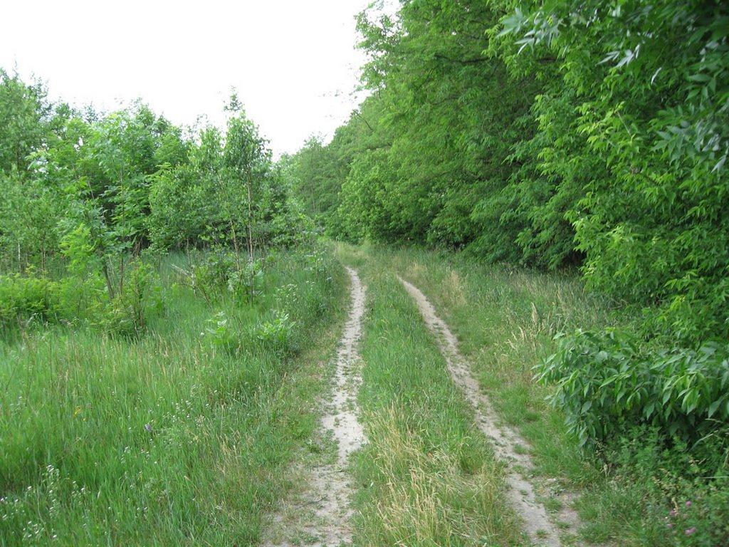 Кролевець з panoramio.com - Кролевець