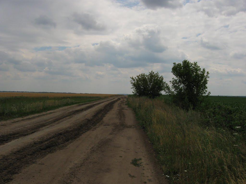 Городок з panoramio.com - Городок