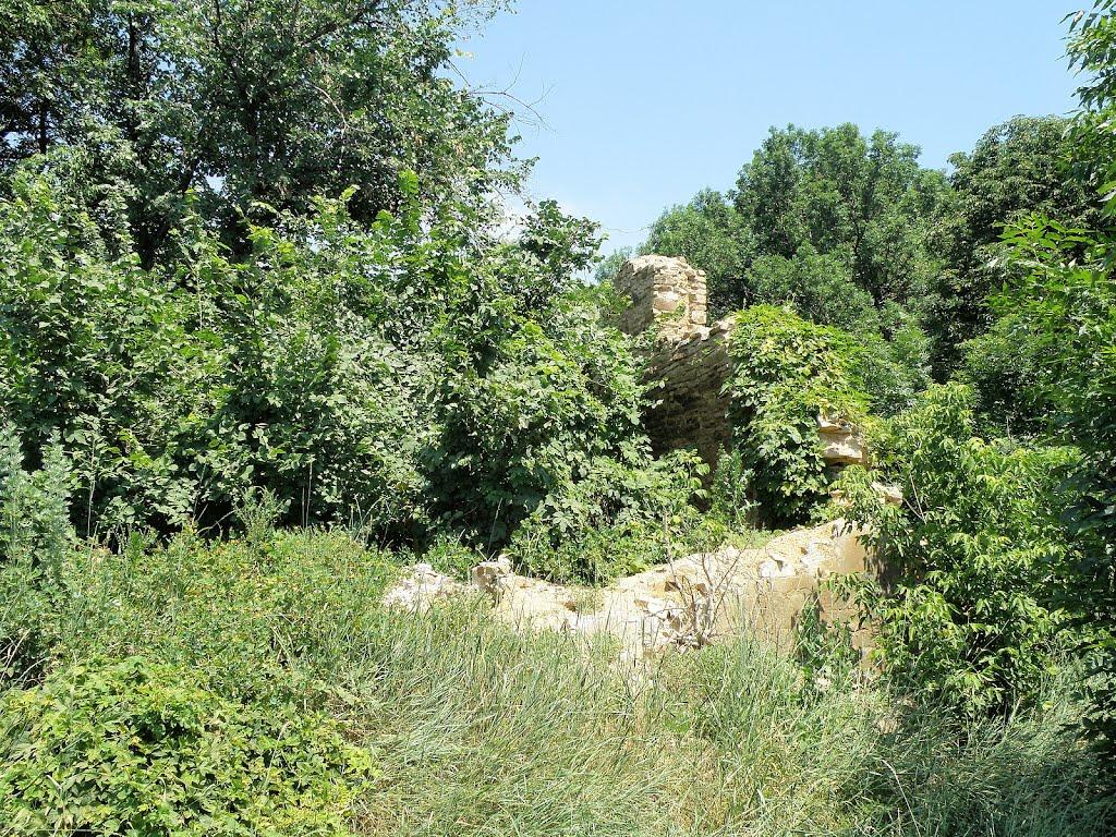 Селезнівка з panoramio.com - Селезневка