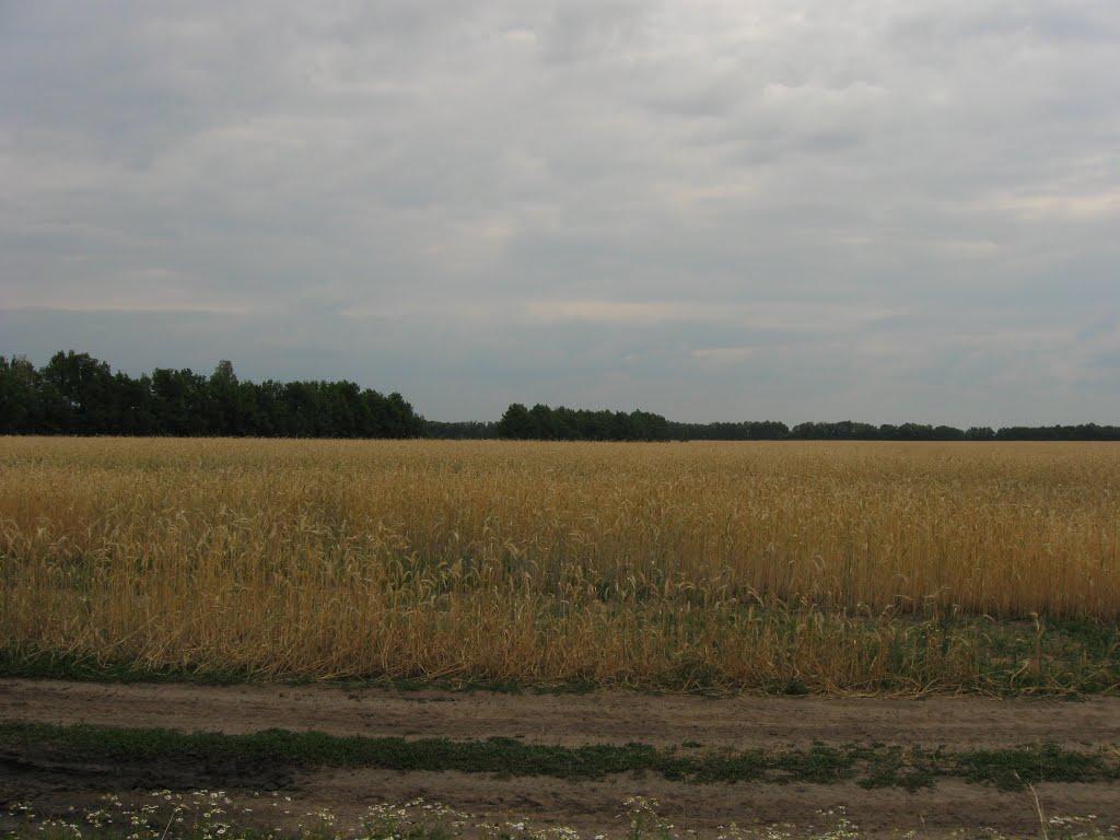 Городок з panoramio.com - Городок