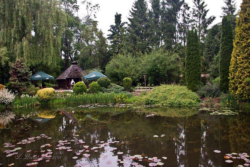 Циків з panoramio.com - Цыков