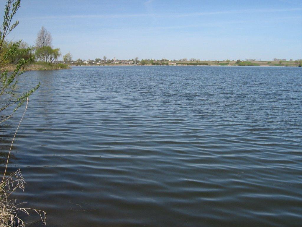 Рогізне з panoramio.com - Рогізне