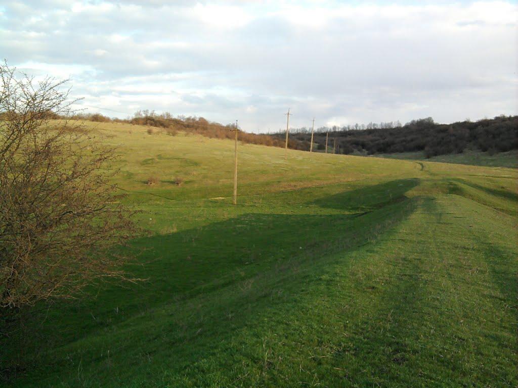 Добронадіївка з panoramio.com - Добронадіївка