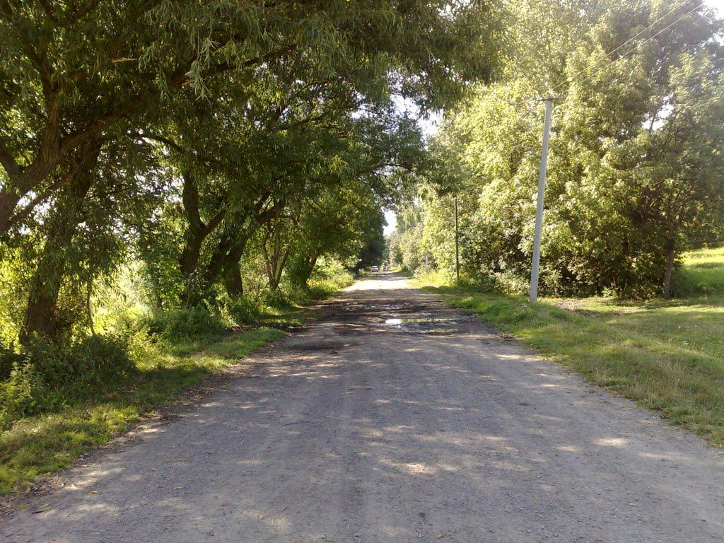 Велика Плавуча з panoramio.com - Велика Плавуча