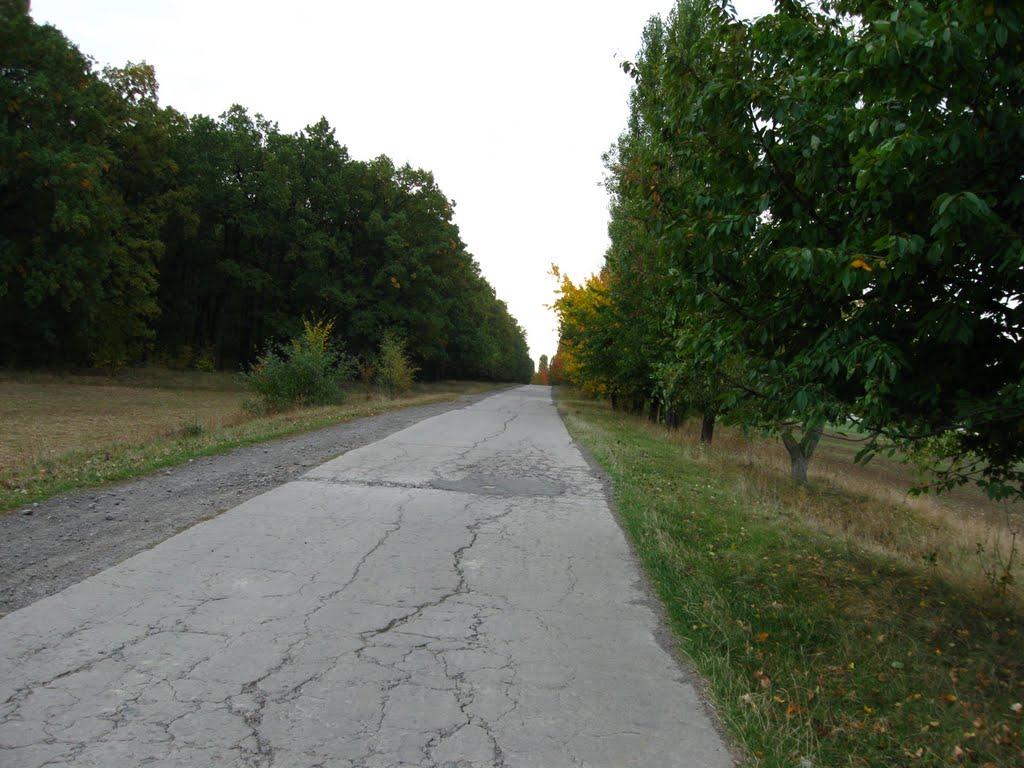 Заозерне з panoramio.com - Заозерное