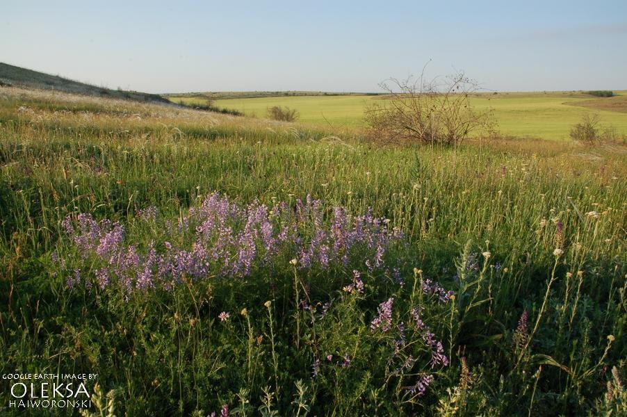 Кочергіне з panoramio.com - Кочергино