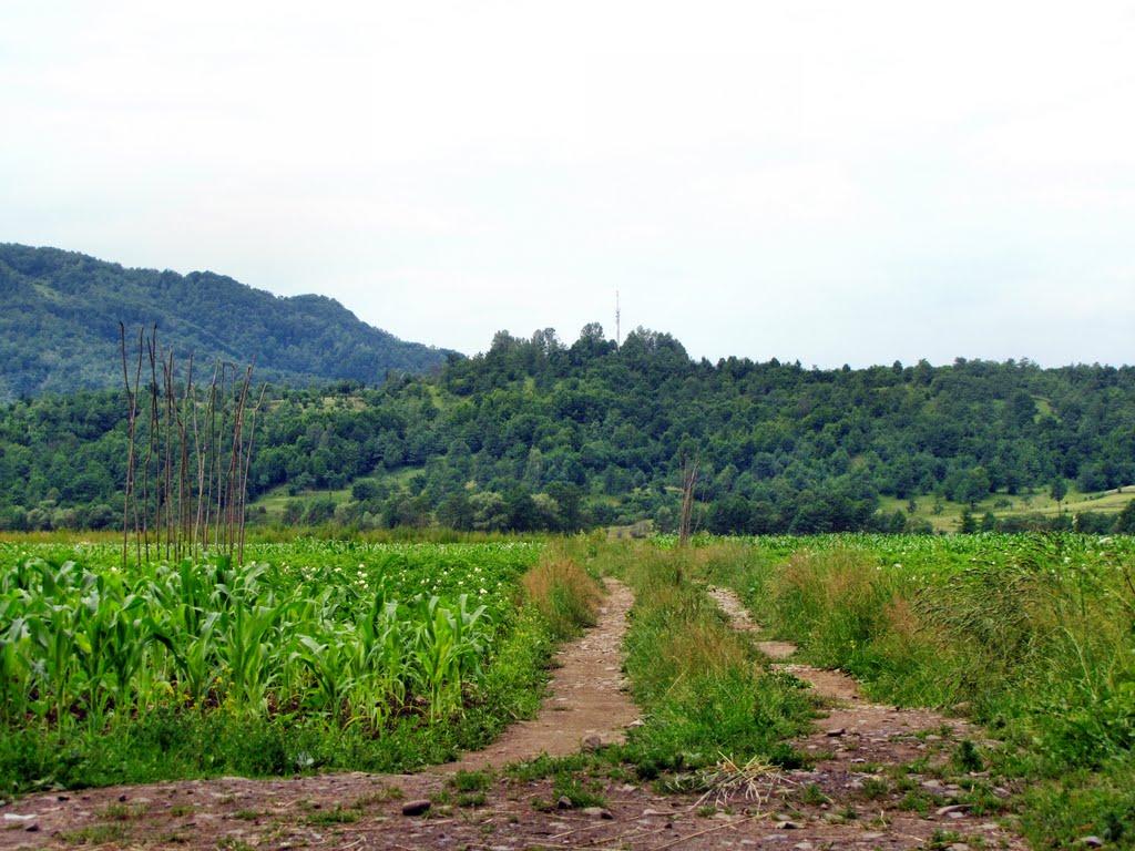 Керецьки з panoramio.com - Керецьки