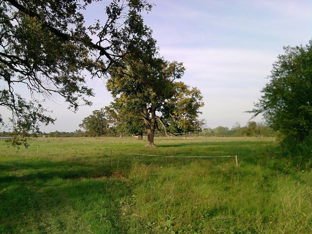 Галабор з panoramio.com - Galabor