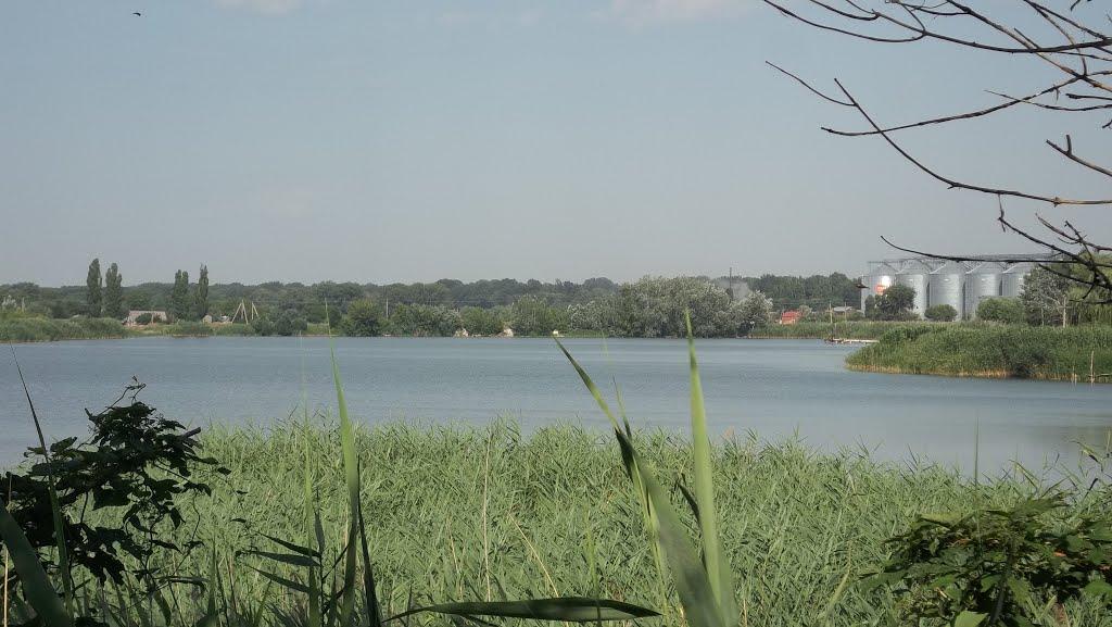 Карлівка з panoramio.com - Карлівка
