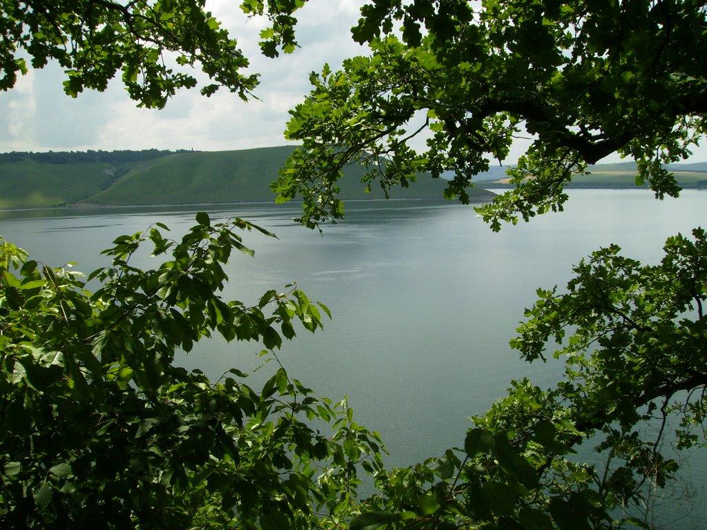 Комарів з panoramio.com - Komariv