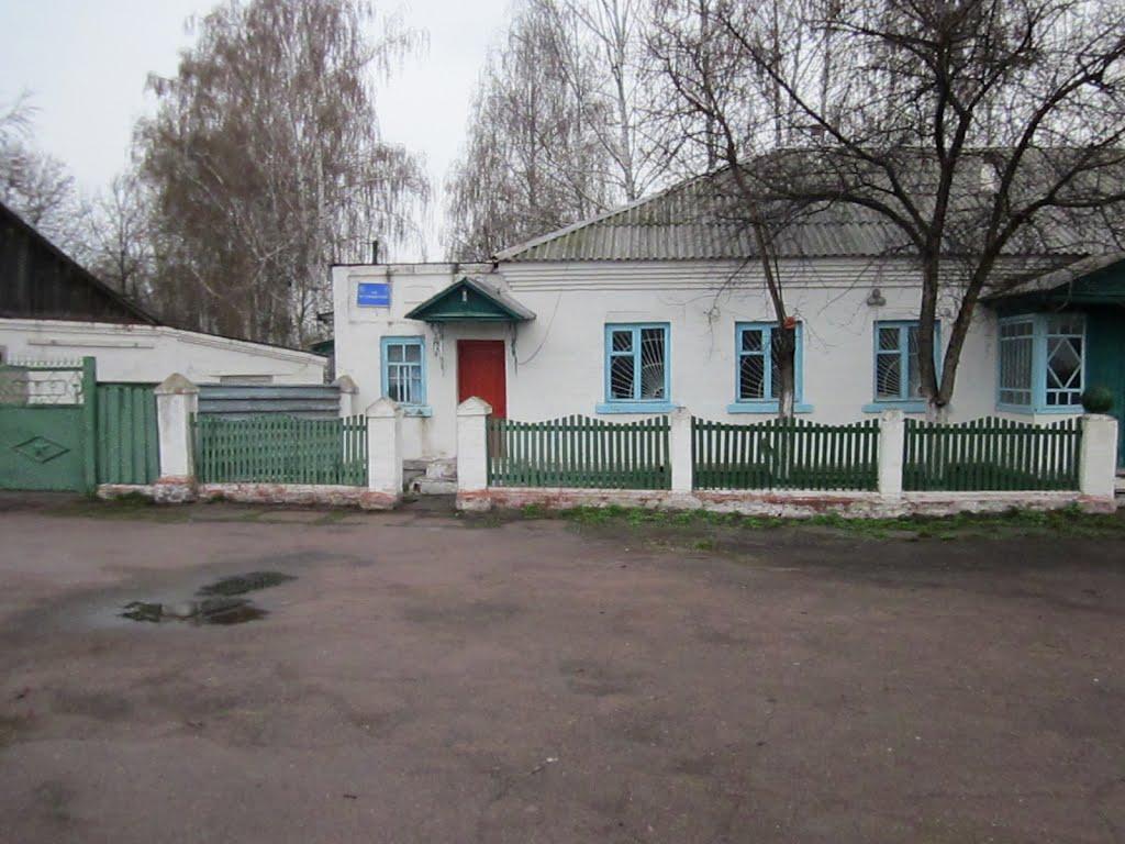 Нові Млини з panoramio.com - Нові Млини