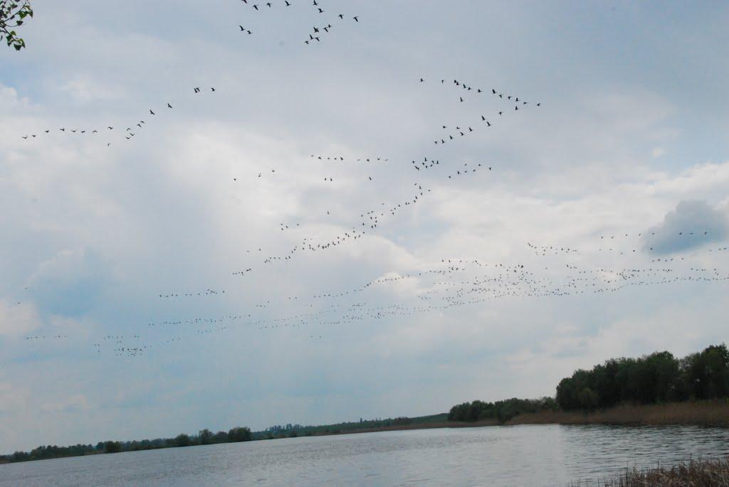 Ямполівка з panoramio.com - Ямполівка