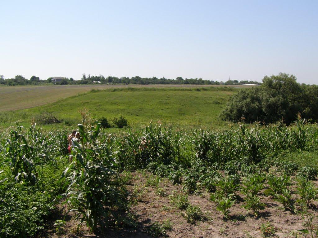 Пінчуки з panoramio.com - Пінчуки