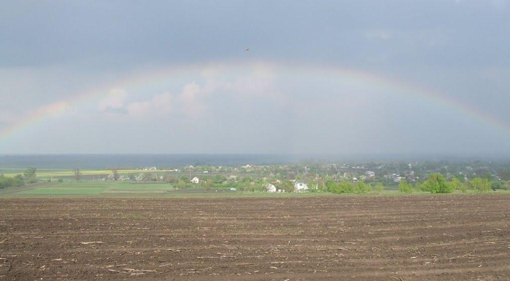 Максимівка з panoramio.com - Максимівка