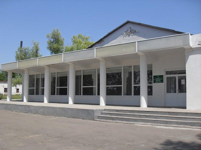 Лідіївка з panoramio.com - Лідіївка