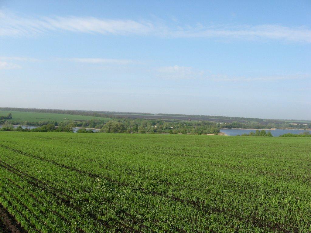 Мирошниківка з panoramio.com - Мирошниківка