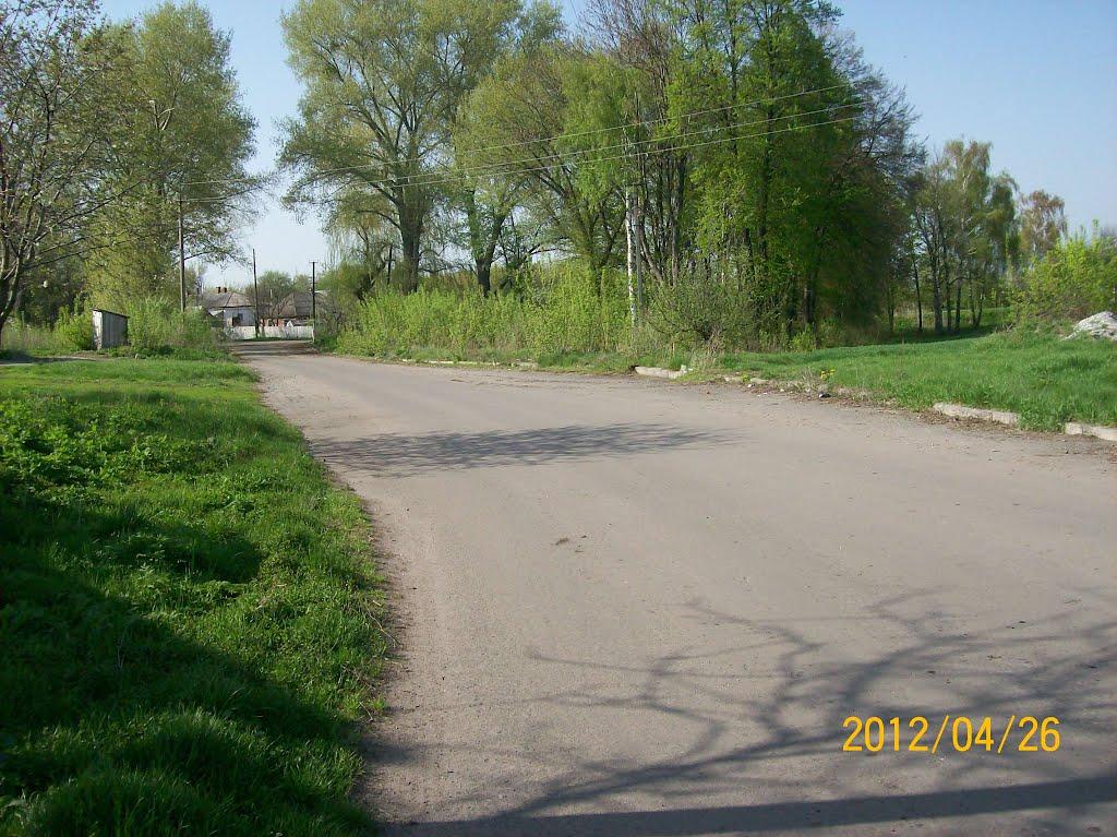 Савинці з panoramio.com - Савинці