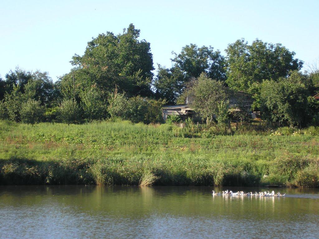 Мала Помічна з panoramio.com - Mala Pomichna