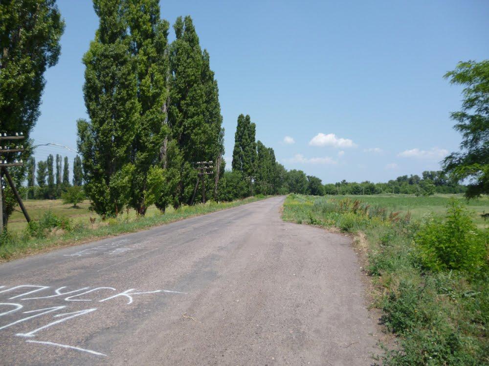 Дніпровокам'янка з panoramio.com - Дніпровокам'янка