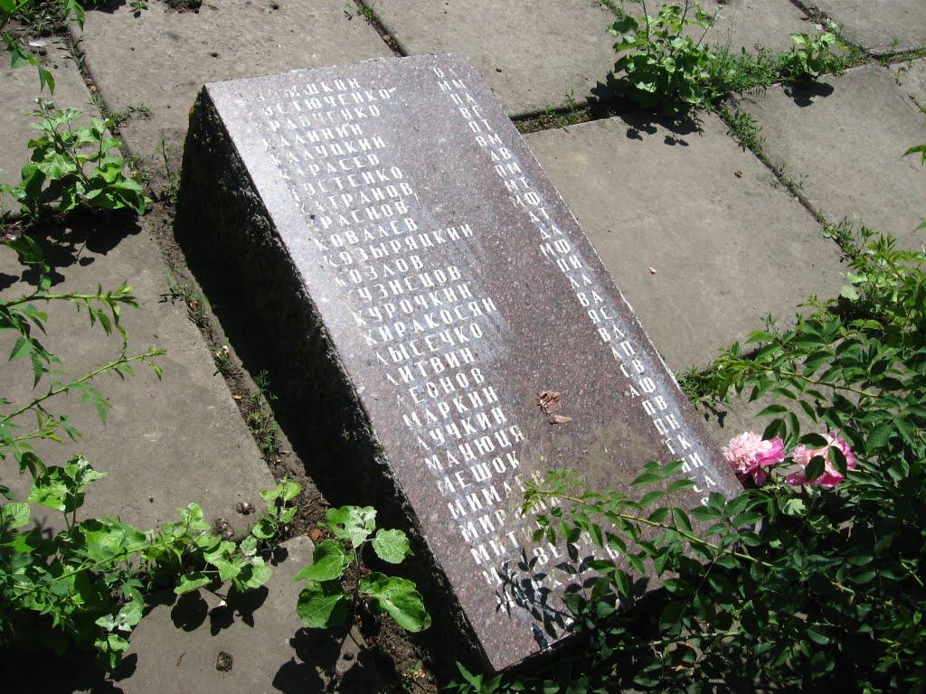 Новомалинівка з panoramio.com - Новомалинівка