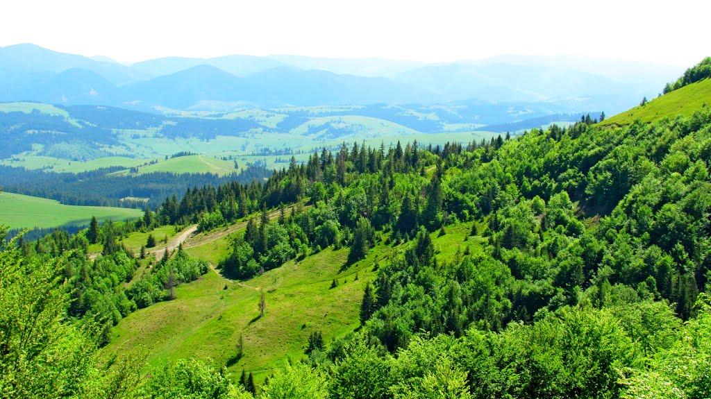 Пилипець з panoramio.com - Пилипец
