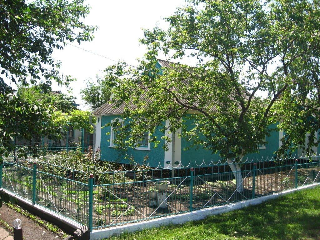Новомалинівка з panoramio.com - Новомалиновка
