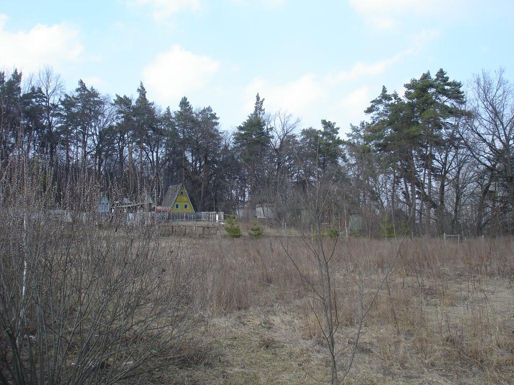 Коропове з panoramio.com - Коропове