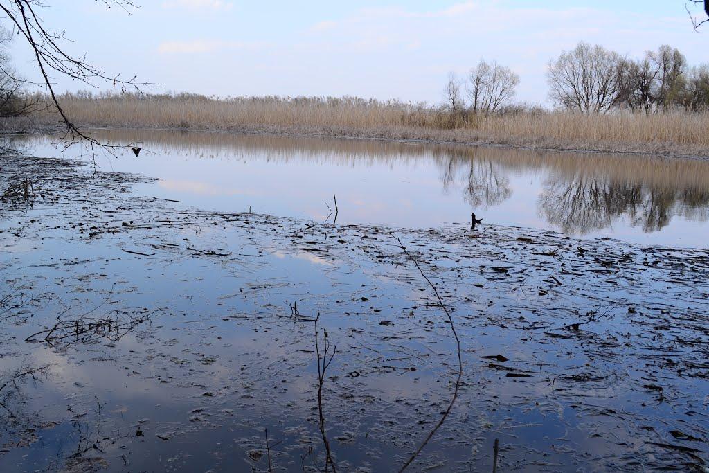 Петрівка з panoramio.com - Петровка