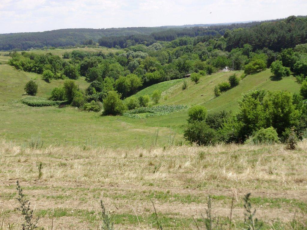 Ситники з panoramio.com - Ситники